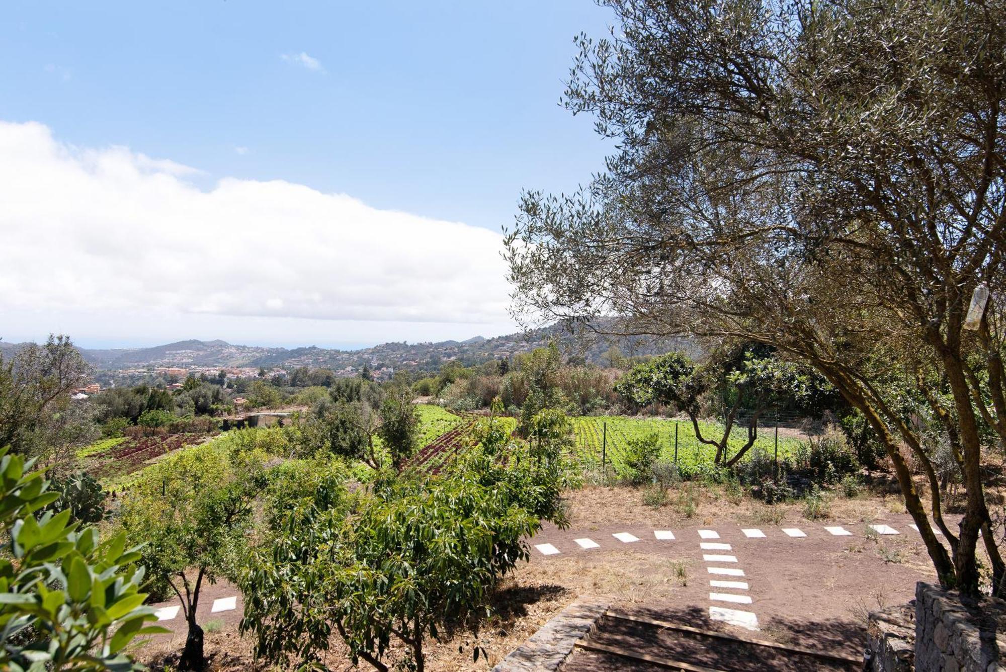 La Casita De La Orilla De Penate Villa Santa Brígida Buitenkant foto