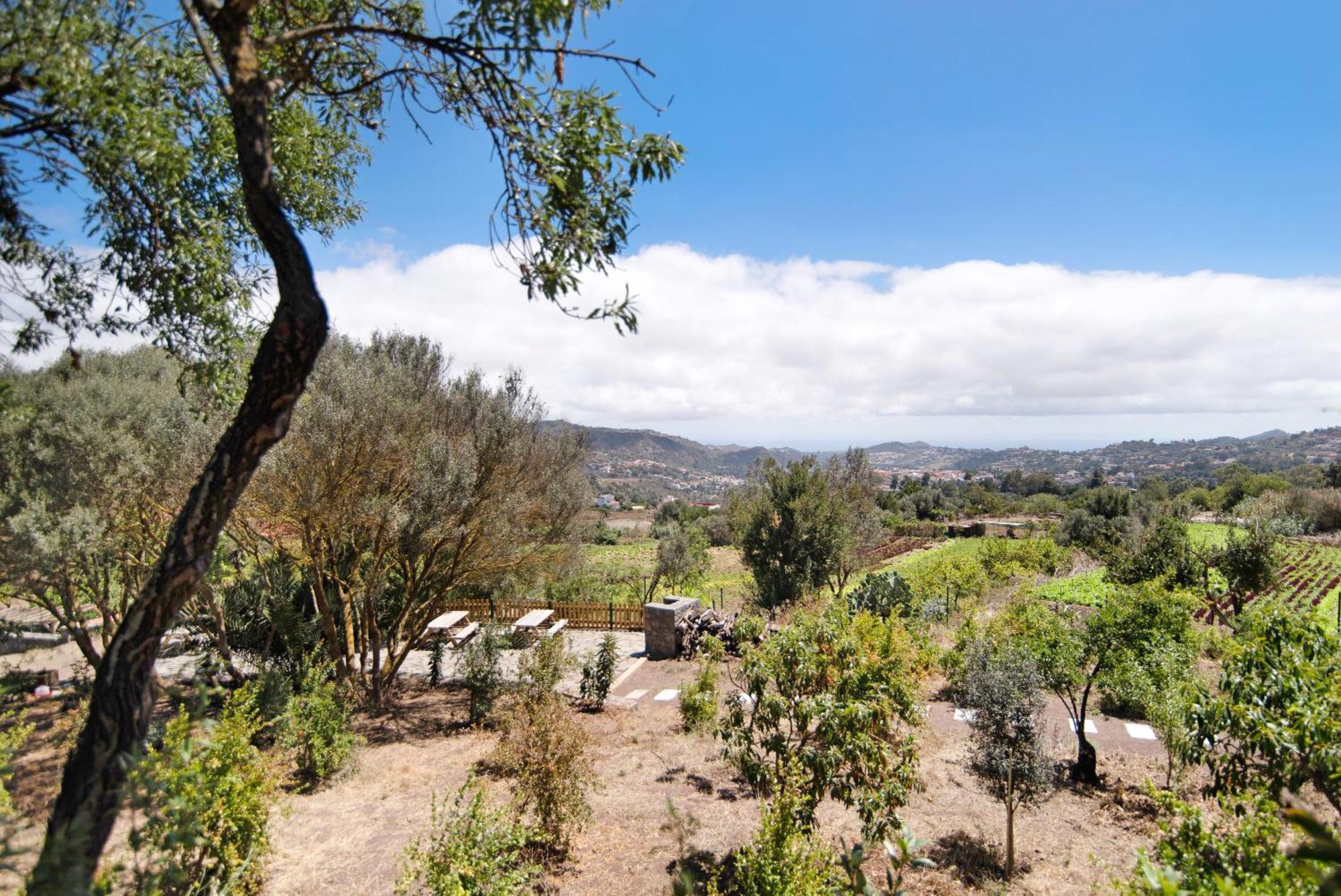 La Casita De La Orilla De Penate Villa Santa Brígida Buitenkant foto